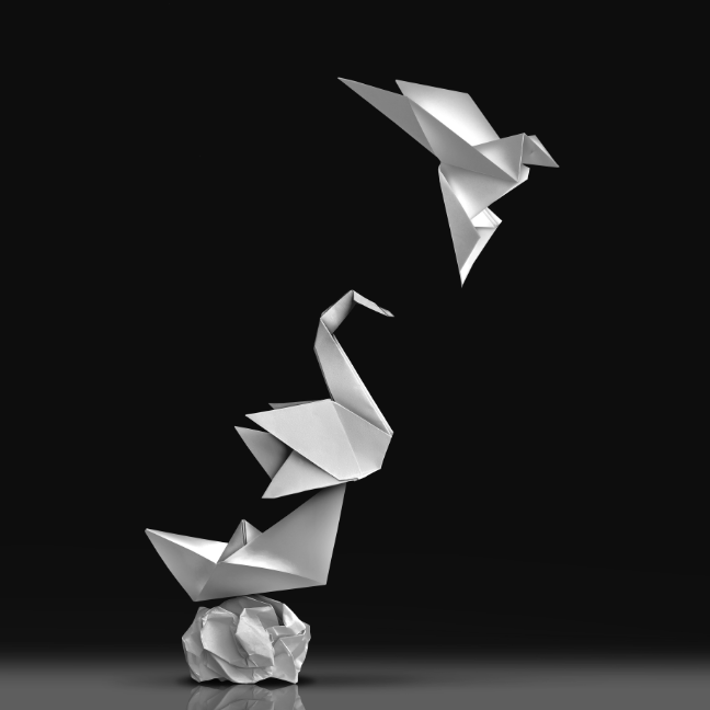 origami bird from construction to flight
