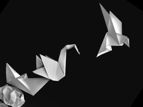 origami bird from construction to flight