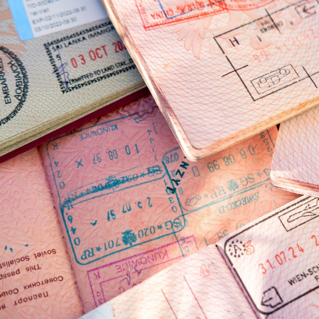 Lots of different rave documents with border stamps.